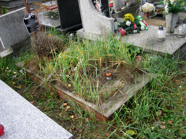 Przed wykonaniem usługi