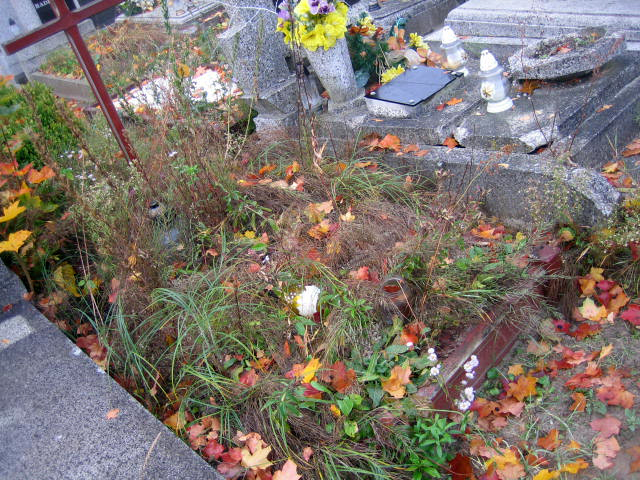 Przed wykonaniem usługi